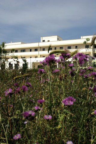 vacanze Maglie - HOTEL NICOLARDI****